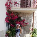 ���� ����, ������� - ��������� 26 ������� 2017 � ������ ���� ����������