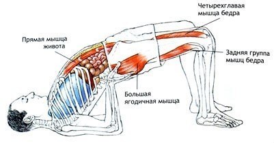 Сету Бандха Сарвангасана (Уттана Майюрасана). Показания: Менструальные нарушения, проблемы ... - 2