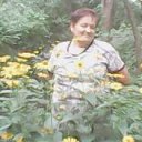 ���� ������, �������� - ��������� 20 ������ 2017 � ������ ������ ��������