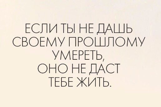   -  ,  -  - 8  2017  03:42