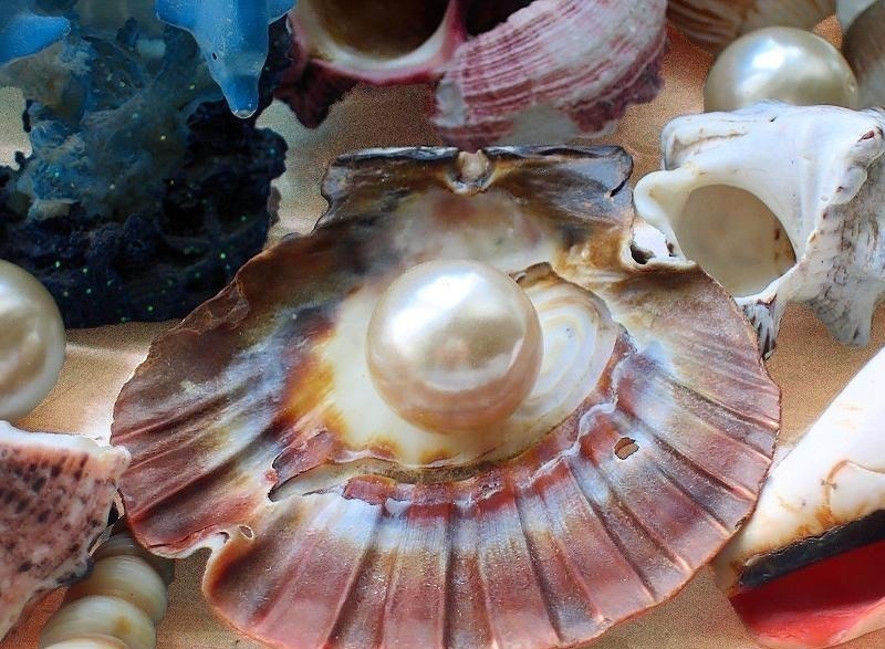 ���� �� ��������� ����� � ������� ��������� ��������. ����� � �������� �������� ��������, �� ��� ...