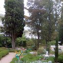 ���� ��������, �����������, 49 ��� - ��������� 11 ������� 2017 � ������ ���ʻ