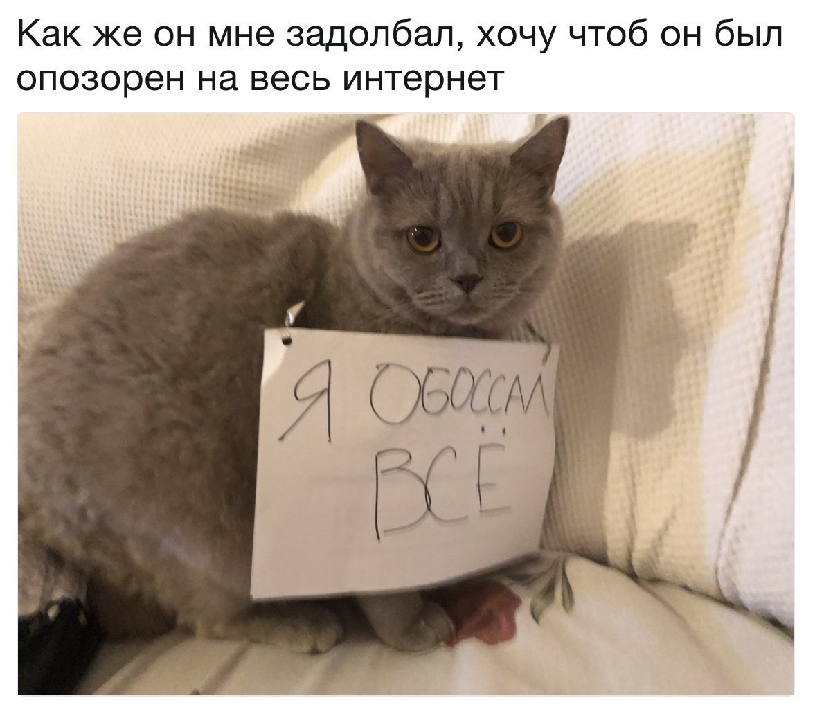    - 15  2018  03:51