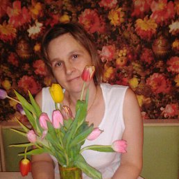 �������, �����������, 50 ���