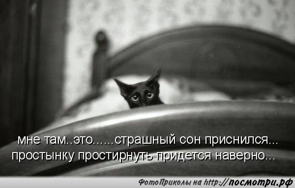    - 7  2018  02:55