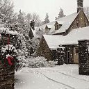 ���� ��������, ���������, 49 ��� - ��������� 5 ����� 2018 � ������ ���� ����������