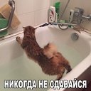  ,  -  26  2017    