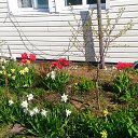 ���� Valery, �������, 79 ��� - ��������� 16 ��� 2018 � ������ ���� 2018�