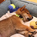 ���� �����, �����-���������, 56 ��� - ��������� 26 ������� 2017 � ������ ���� ����������