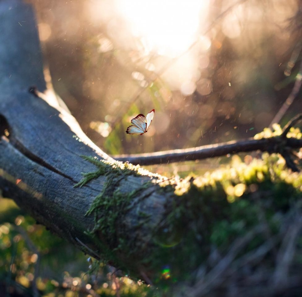     .     .     .  , ... - 3