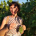 ���� �������, ����� - ��������� 10 ������ 2018