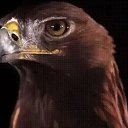 ���� ���������, ����������, 59 ��� - ��������� 9 ������ 2018 � ������ ���� ����������