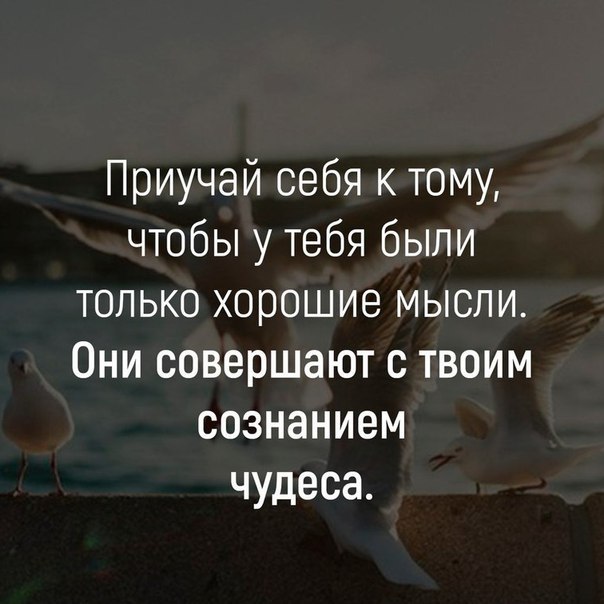    - 15  2018  02:28