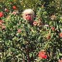 ���� ������, ������, 53 ���� - ��������� 3 ���� 2018 � ������ ���� ����������