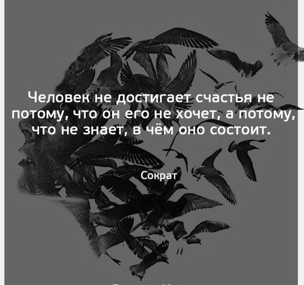    - 29  2018  02:43