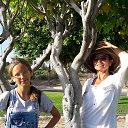 ���� ������, �����������, 56 ��� - ��������� 18 ��� 2018 � ������ ���� ����������