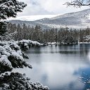  , -, 64  -  29  2018    