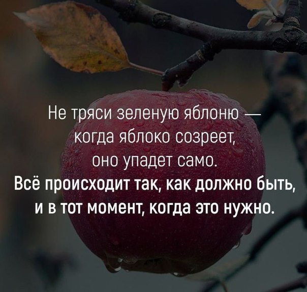    - 27  2017  06:52