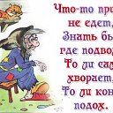 ���� ������, ����, 65 ��� - ��������� 25 ������ 2018 � ������ ���� ����������