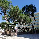 ���� ����, �����������, 53 ���� - ��������� 28 ��� 2018 � ������ ���������