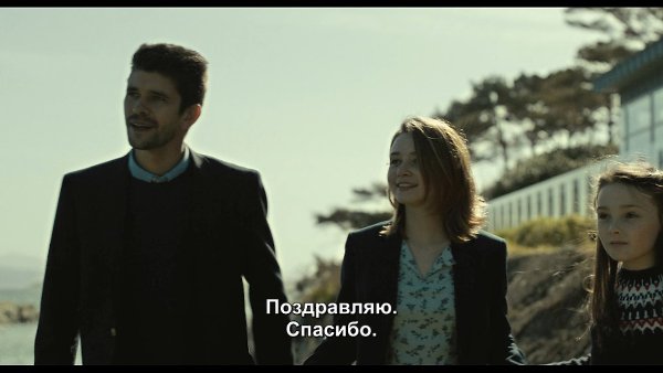  I The Lobster I 2015 - 2