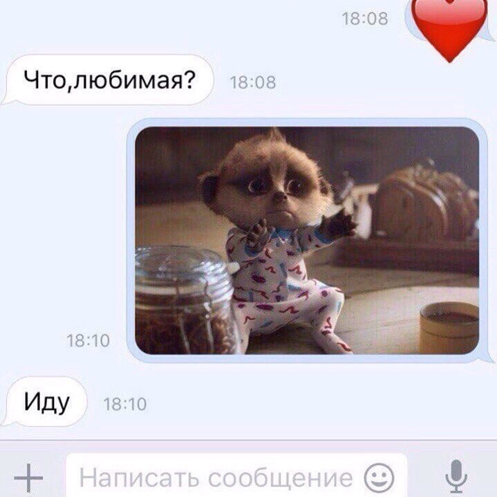 ׸  - 12  2017  03:25