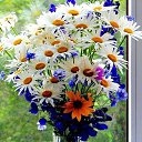���� Antonina, ������ - ��������� 15 ������ 2018 � ������ ���� ����������