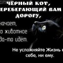 ���� Rigen, ������, 50 ��� - ��������� 13 ������ 2018 � ������ �������� ��������