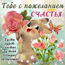 ���� �����, ��������, 55 ��� - ��������� 4 ���� 2018 � ������ ������ ��������