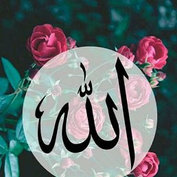 �����, ������������, 55 ���