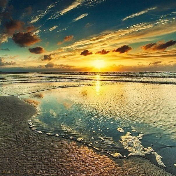 ��������� �������� �� ����������� Oer Wout. - 5