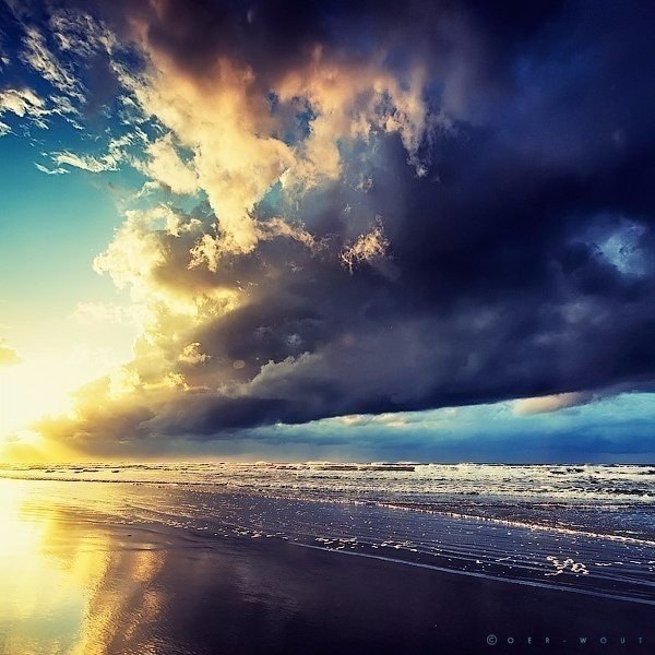 ��������� �������� �� ����������� Oer Wout. - 6