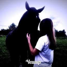 ���� �������, �����������, 23 ���� - ��������� 16 ����� 2018