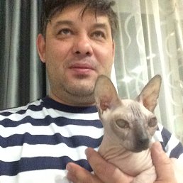 ���� Apostol, �������������, 52 ���� - ��������� 13 ����� 2018