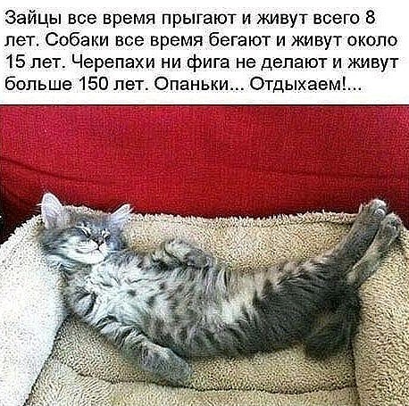 ***Victoria Viktorovna*** - 10  2018  02:17
