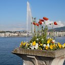  , , 68  -  6  2018   Geneve Montreux Lausanne Annecy(10.05-16.05.2018)