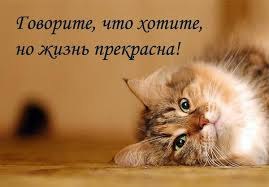 Махните рукой на былые свои неудачи, Забудьте о том, что вчера ещё вам не везло. Сегодня! Сегодня! ... - 3
