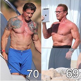 �����������
