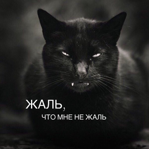 ***Victoria Viktorovna*** - 25  2018  05:47
