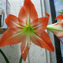 ���� ������, ���������� - ��������� 11 ����� 2018 � ������ ���� ����������