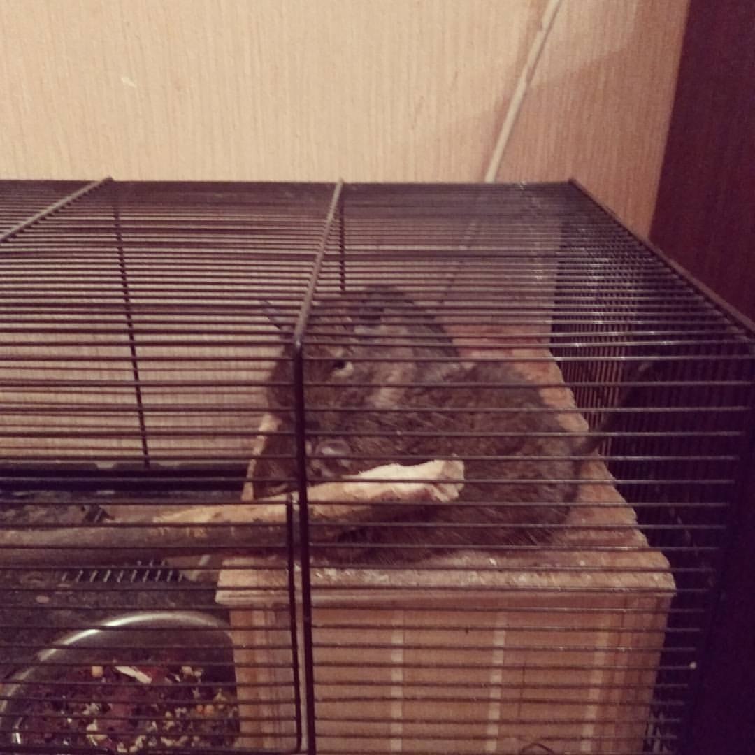 #�����������