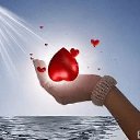 ���� �������, ���������, 68 ��� - ��������� 16 ���� 2018 � ������ ���� ����������