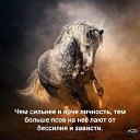 ���� �������, ������ - ��������� 7 ���� 2018 � ������ ��������