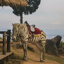 ���� Lilly, ����������� - ��������� 27 ����� 2018 � ������ ������ ��������