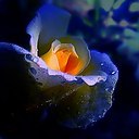 ���� 165656, �������, 38 ��� - ��������� 6 ��� 2018 � ������ ���� ����������