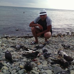 ���� ���������, �����, 49 ��� - ��������� 23 ������ 2017