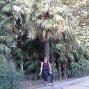 ���� ���������, ������������ - ��������� 27 ����� 2018 � ������ ���� ����������