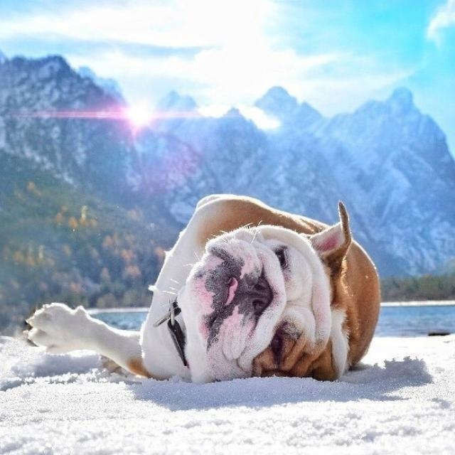 � �� �������� ����)