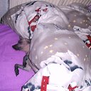 ���� Angela, �������, 52 ���� - ��������� 1 ������ 2018 � ������ ���� ����������