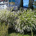 ���� Oleg, ������� ����, 78 ��� - ��������� 20 ������ 2018 � ������ ������ ��� ����!�
